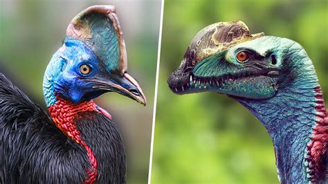 are birds similar to dinosaurs